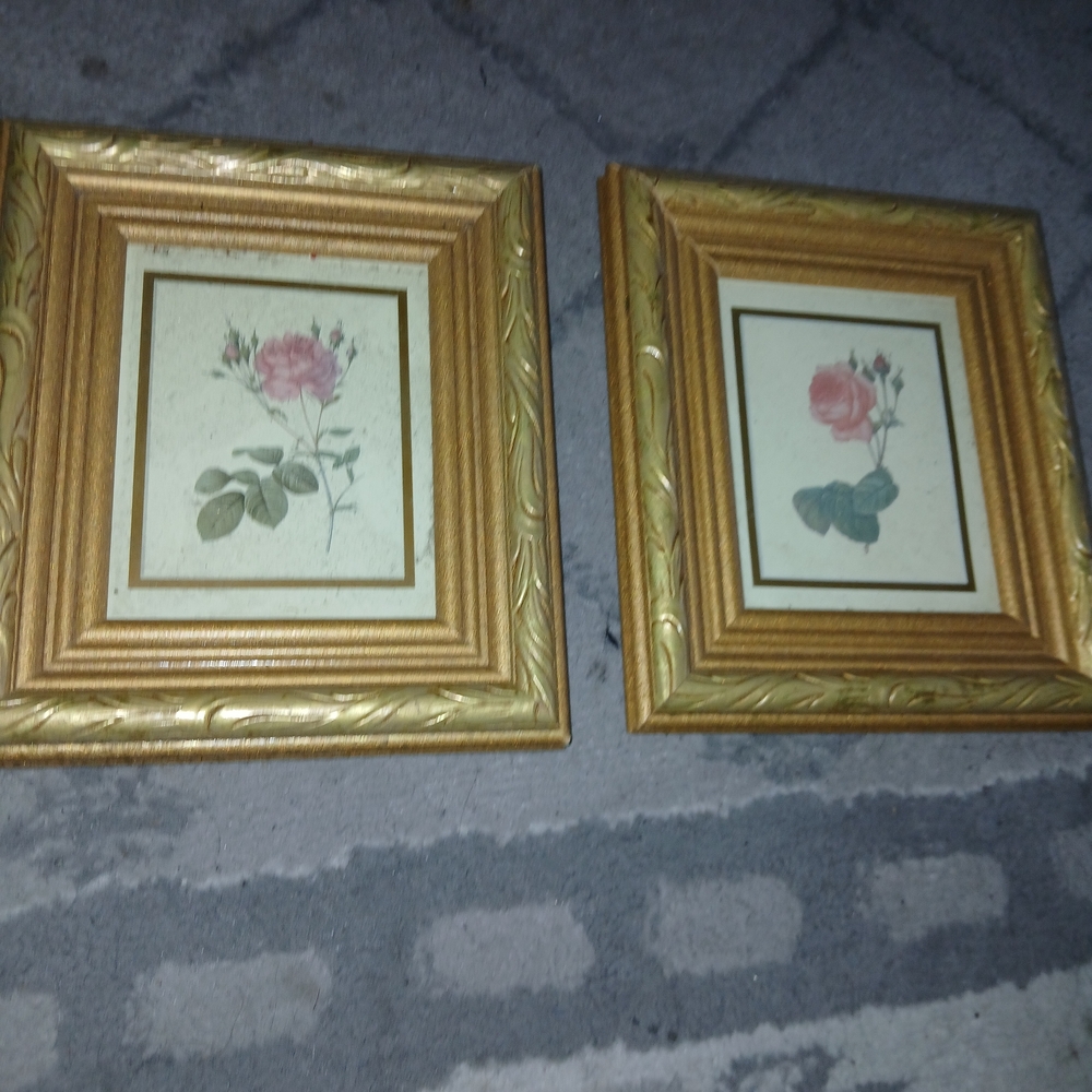 Set of 2 Gold Framed Pink Rose Prints Like New -BUY ONE ITEM CHOOSE ONE FREE